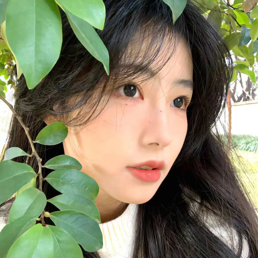 中原女警 海报